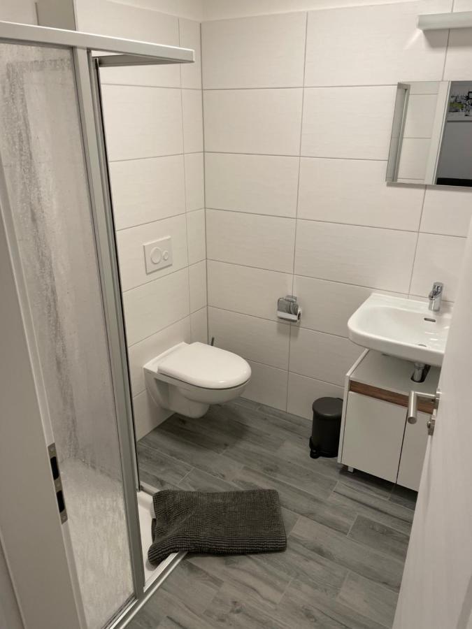 Pension Alte Schule Langenbernsdorf エクステリア 写真